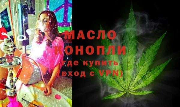 молекула духа Медногорск