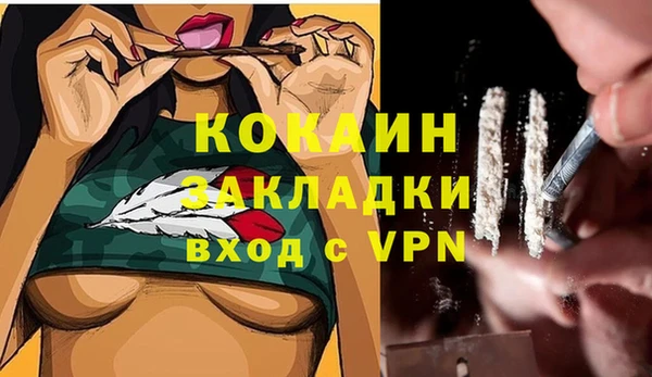 мяу мяу мука Медвежьегорск