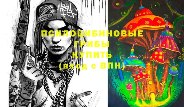 молекула духа Медногорск