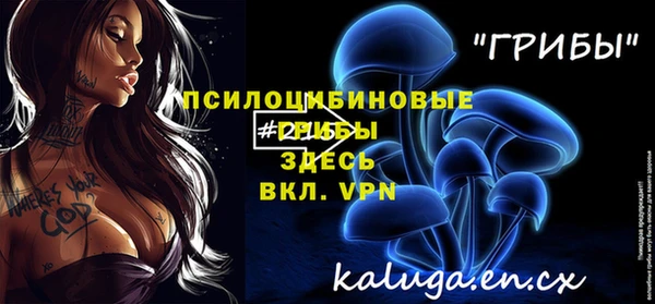 молекула духа Медногорск