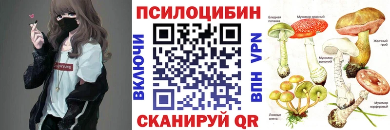 Псилоцибиновые грибы Cubensis ссылка на мегу ТОР Спас-Клепики